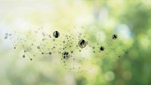A network illustration with icons for different elements like medical care and the criminal justice system, image by Dori Walker/RAND Corporation from bagotaj, Chainarong Prasertthai, JakeOlimb, A Digit, 4x6, and Hakan Gider/Getty Images