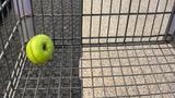 A green apple in an otherwise empty grocery store cart, photo by Dori Walker/RAND Corporation