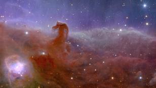Stellar nursery called Horsehead Nebula, also known as Barnard 33, part of constellation Orion, captured by the Euclid telescope, photo by European Space Agency/Handout via Reuters