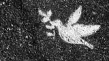 Dove painted on concrete, photo by Msznz/Getty Images
