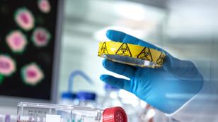 Microbiology research scientist examining a petri dish containing a biohazard sample during an experiment in the laboratory, photo by Image Source/Adobe Stock