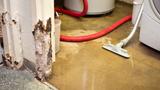 A flooded basement with a wet vacuum, photo by youngvet/Getty Images
