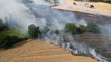 Drone aerial view of wildfires in farm fields Essex Ongar, photo by  Steve Bateman/Getty Images