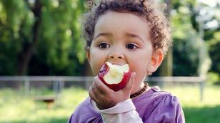A child eating an apple, photo by Adobe Stock/Pavla Zakova