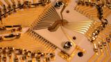 A gold-on-alumina trap inside a case that protects a quantum device against electrical interference.