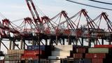 Containers stacked beneath cranes at Port Newark Container Terminal in Newark, New Jersey, October 4, 2024, photo by Mike Segar/Reuters