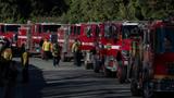Firefighters stand by at the Mandeville Canyon as a red flag warning was issued due to winds, Los Angeles, California, January 13, 2025, photo by Carlos Barria/Reuters