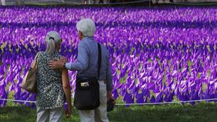 People look at a field of 20,000 purple flags representing overdose deaths in the state from 2011 to 2021, at Boston Common in Boston, Massachusetts, August 29, 2022, photo by Brian Snyder/Reuters