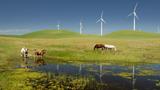 Power-generating windmills with livestock in the San Joaquin Valley, California, photo by tntemerson/Getty Images