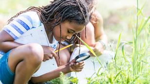 A multi-ethnic group of elementary school children are outdoors on a sunny day. They are wearing casual clothing. They are learning about nature in science class. A girl of African descent is using a magnifying glass to look for bugs.