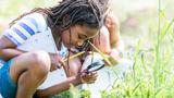 A multi-ethnic group of elementary school children are outdoors on a sunny day. They are wearing casual clothing. They are learning about nature in science class. A girl of African descent is using a magnifying glass to look for bugs.