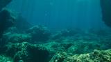 Dark blue water and a rocky ocean bottom, photo by Addictive Stock/Getty Images