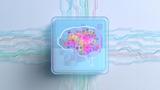 Image of a brain on a computer chip, with network connections coming in on four sides, photo by Vertigo3d/Getty Images
